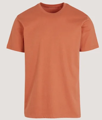 Regular Fit Essential Crew Neck Cotton T-Shirt